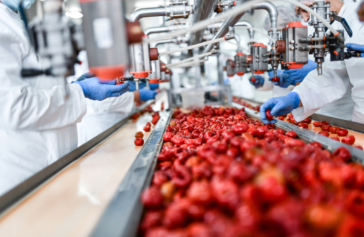 Custom Rubber Hoses in Food Processing